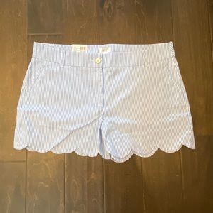 Shorts, crown & ivy, seersucker
